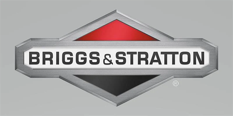 Briggs & Stratton 592594 Carburetor